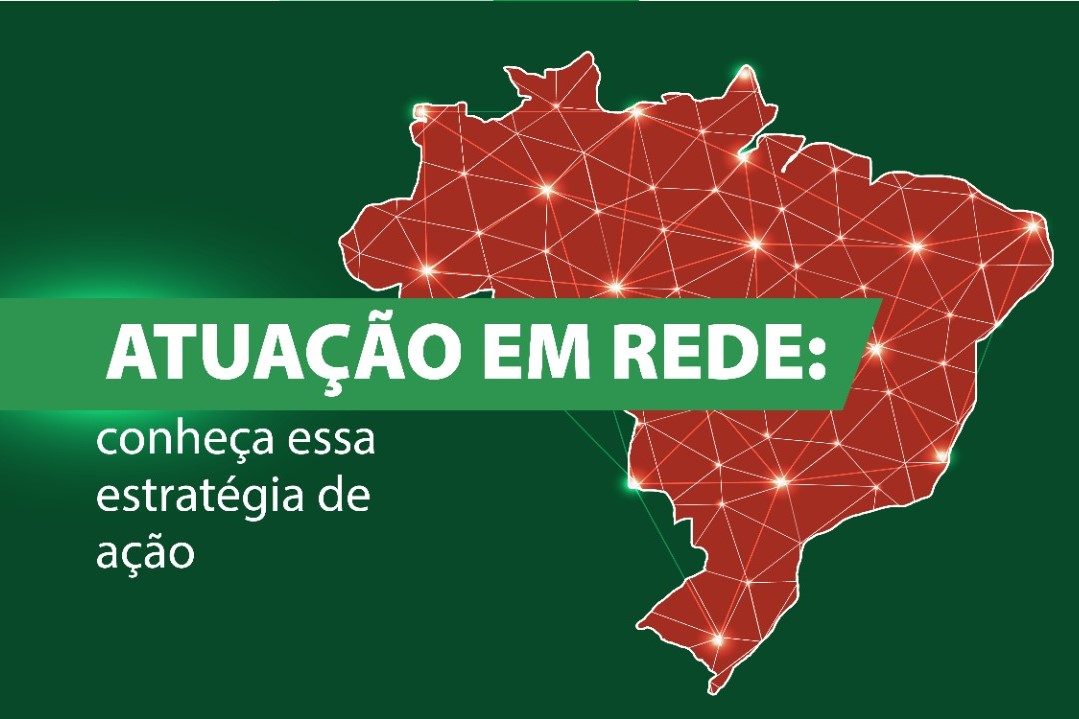 Atuação em rede: conheça essa estratégia de ação