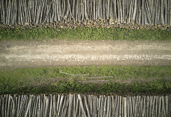 mudanças climáticas