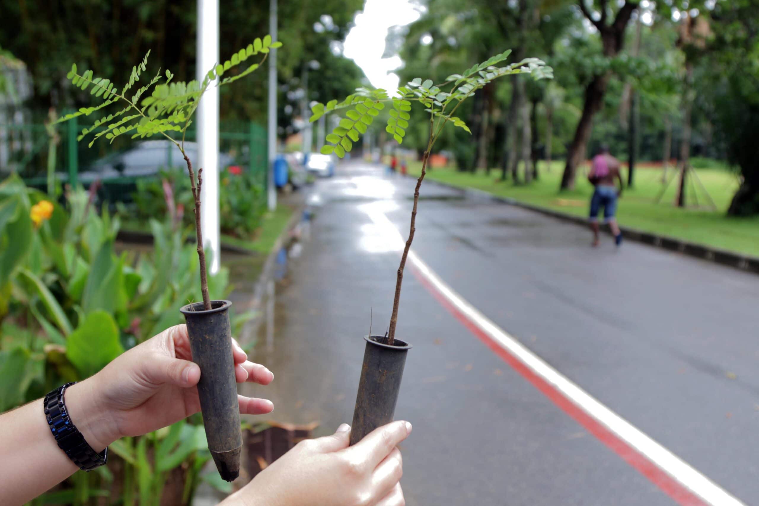 mudanças climáticas