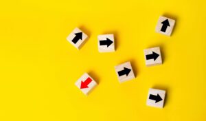 Organizações da Sociedade Civil (OSC)