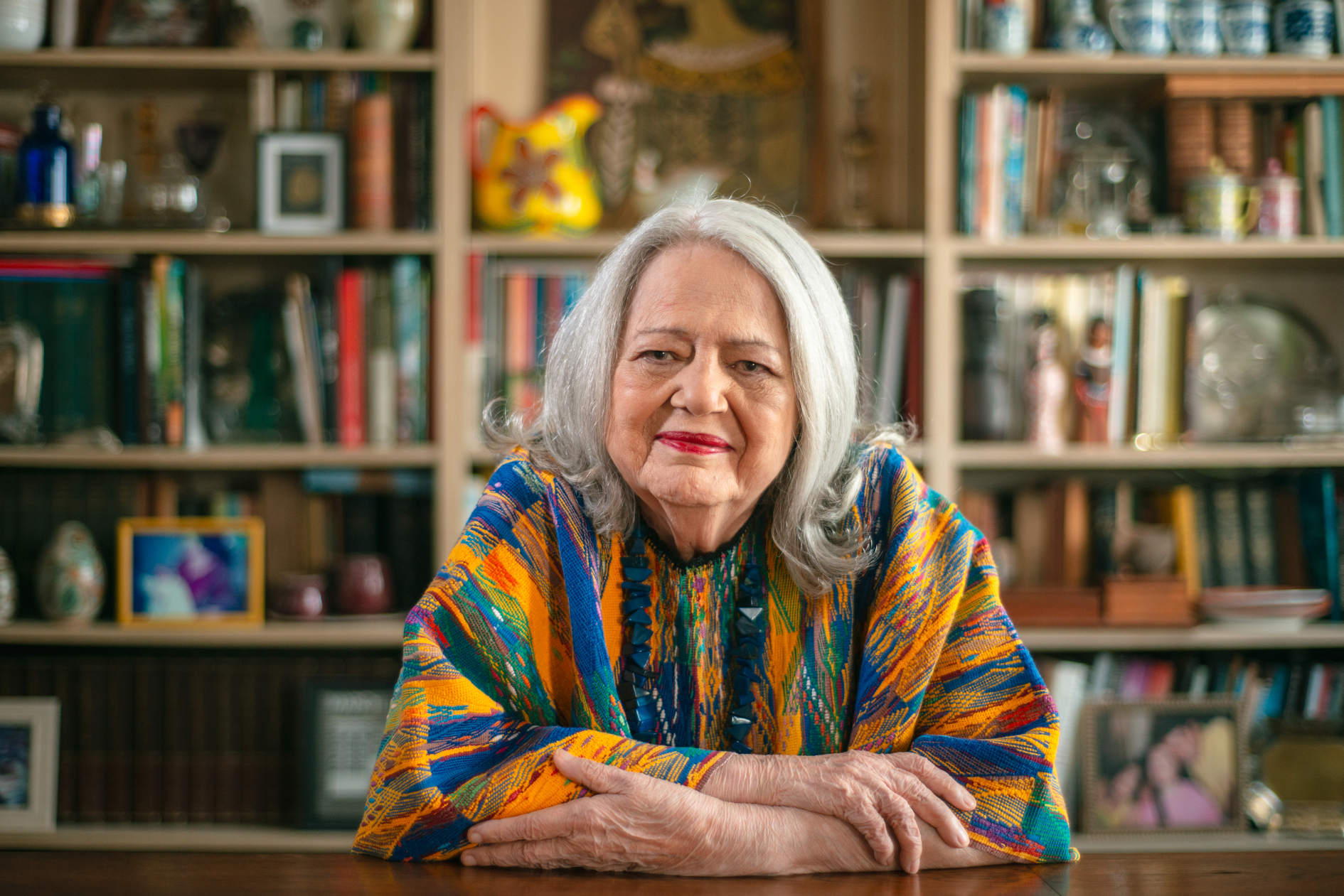 Ana Mae Barbosa, 2025